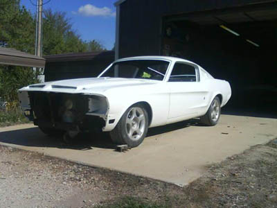 shelby front side view